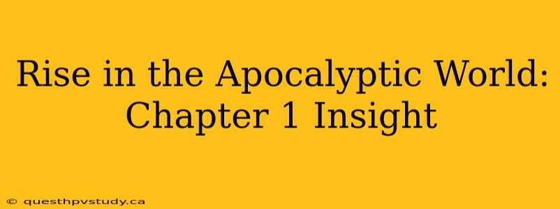 Rise in the Apocalyptic World: Chapter 1 Insight